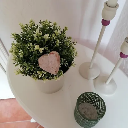 아파트 Schwalbennest *