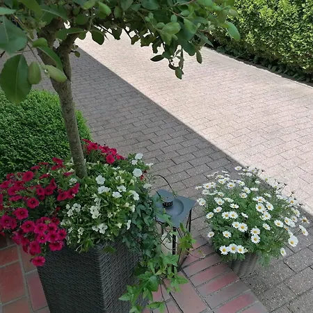 Apartment Schwalbennest Niebull