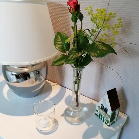 Schwalbennest Apartment *