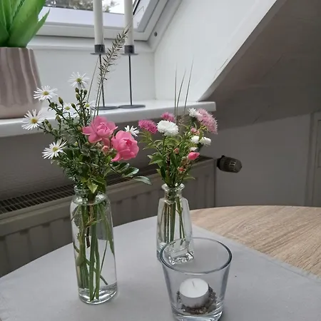 Schwalbennest 아파트 *