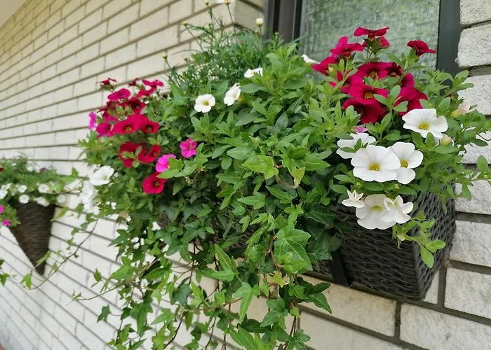 Schwalbennest Niebüll