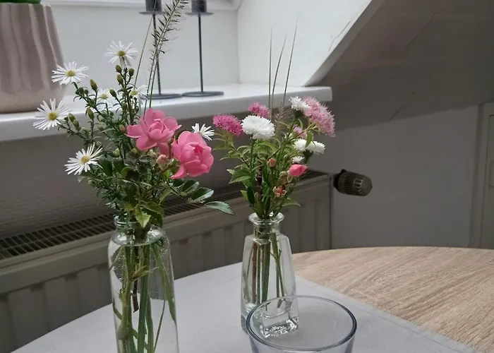 Schwalbennest Lejlighed *